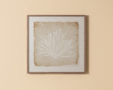Aquatic Flora I - 40" X 40" - Medium Brown Frame