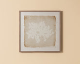 Aquatic Flora II - 40" X 40" - Medium Brown Frame