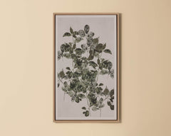 Botanical Study I - 18.5" X 31" - Natural Floater Frame