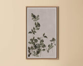 Botanical Study III - 18.5" X 31" - Natural Floater Frame