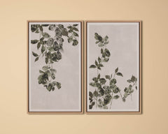 Botanical Study III - 18.5" X 31" - Natural Floater Frame