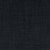 Arena Navy Swatch