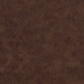 Antique Brown Swatch