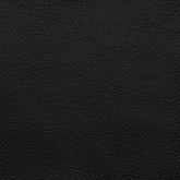 Alpine Black Leather Swatch