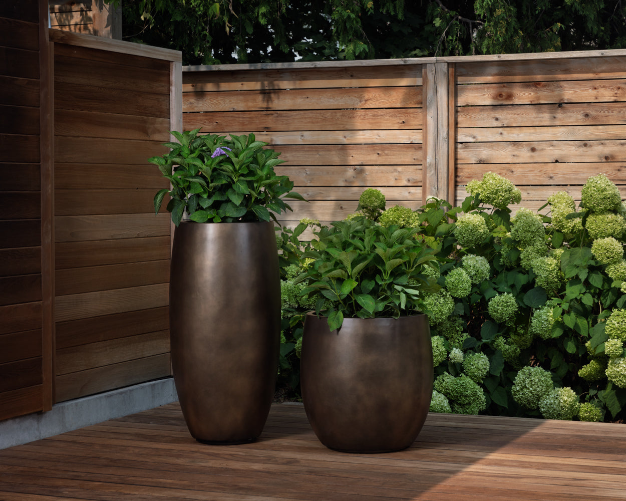 Aster Planter - Tall