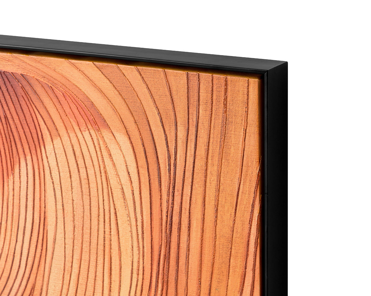 Canyon Dreams II - 48" X 48" - Black Floater Frame