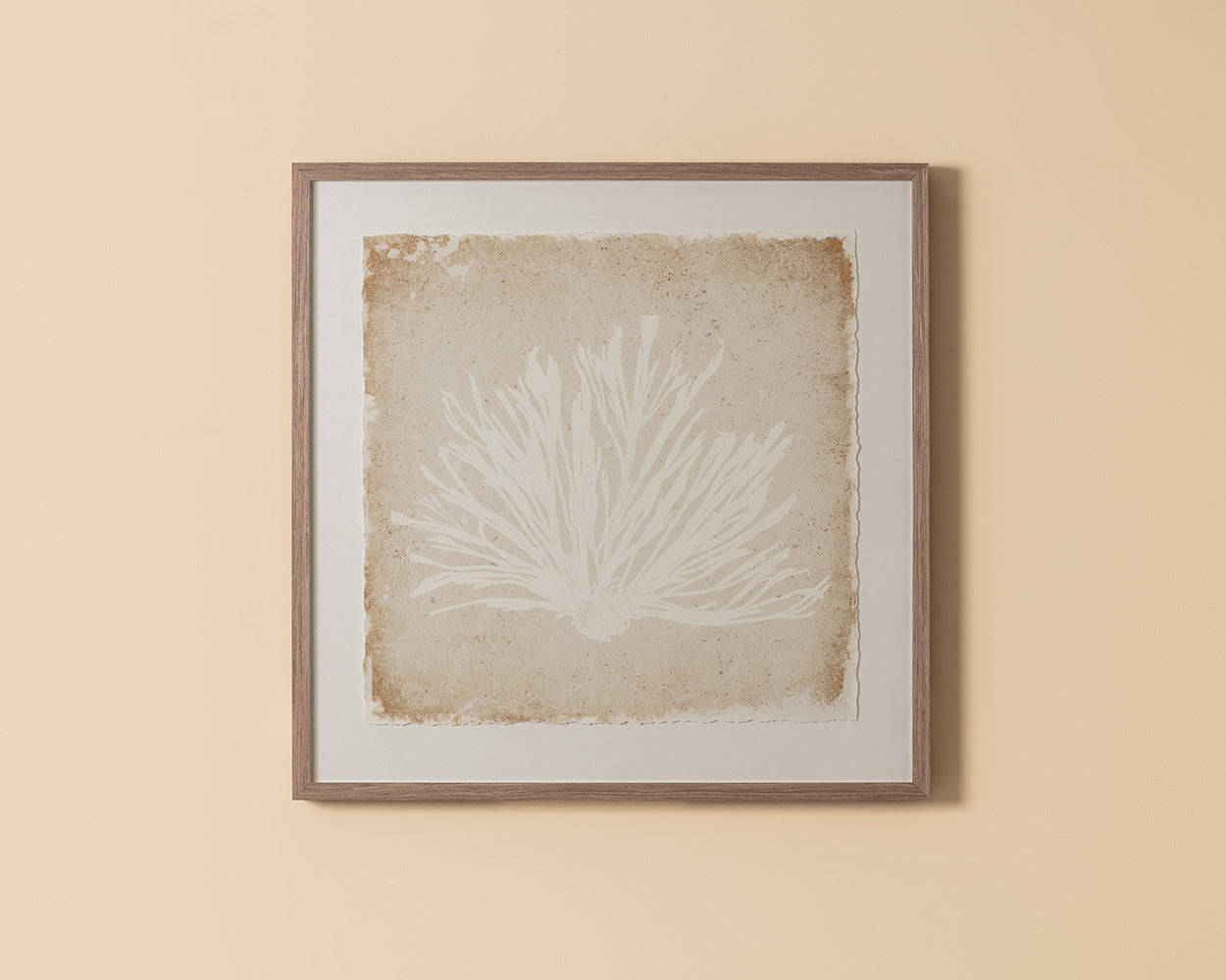 Aquatic Flora I - 40" X 40" - Medium Brown Frame
