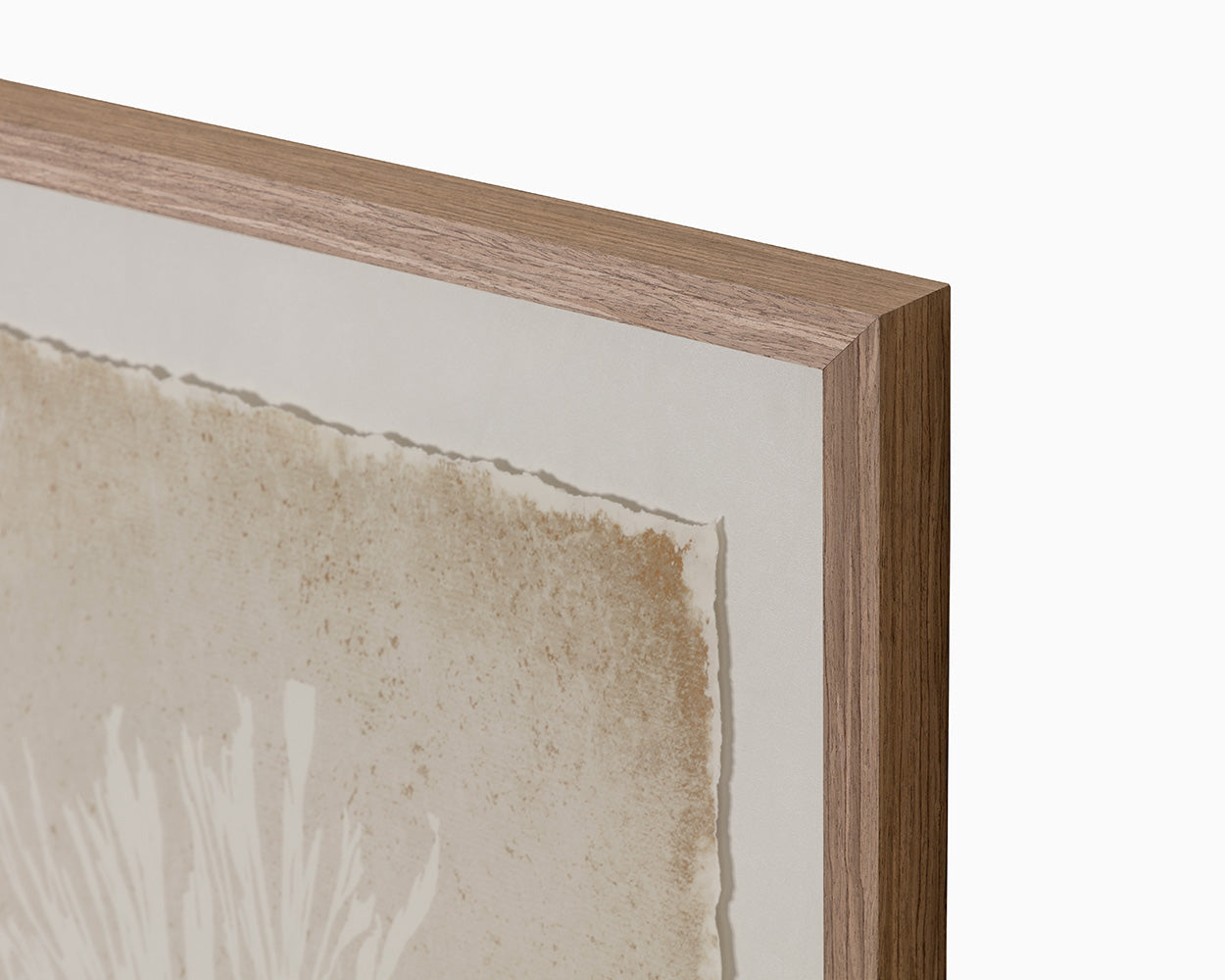 Aquatic Flora I - 40" X 40" - Medium Brown Frame