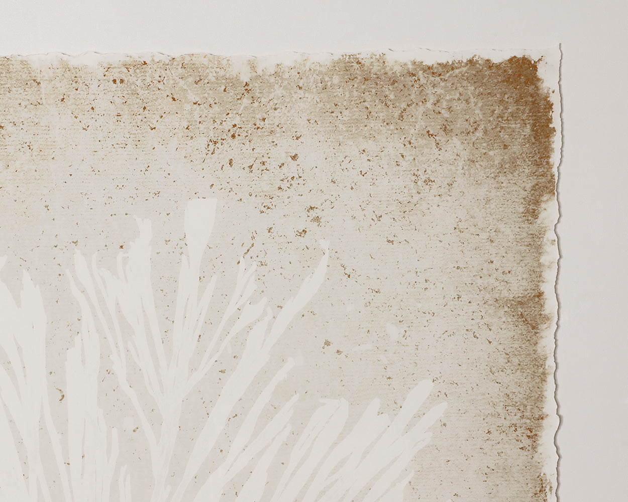 Aquatic Flora I - 40" X 40" - Medium Brown Frame