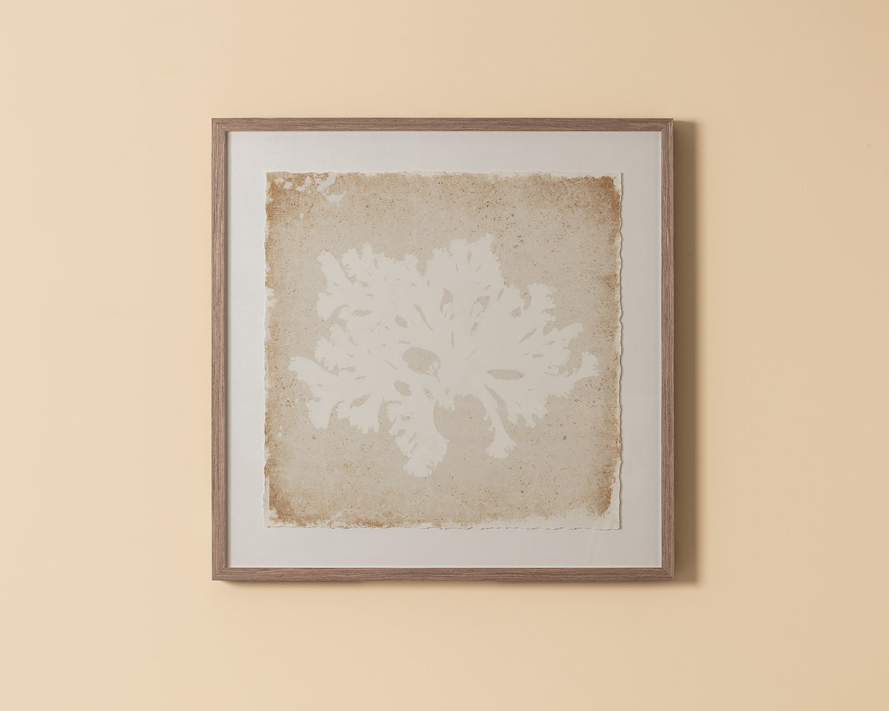 Aquatic Flora II - 40" X 40" - Medium Brown Frame