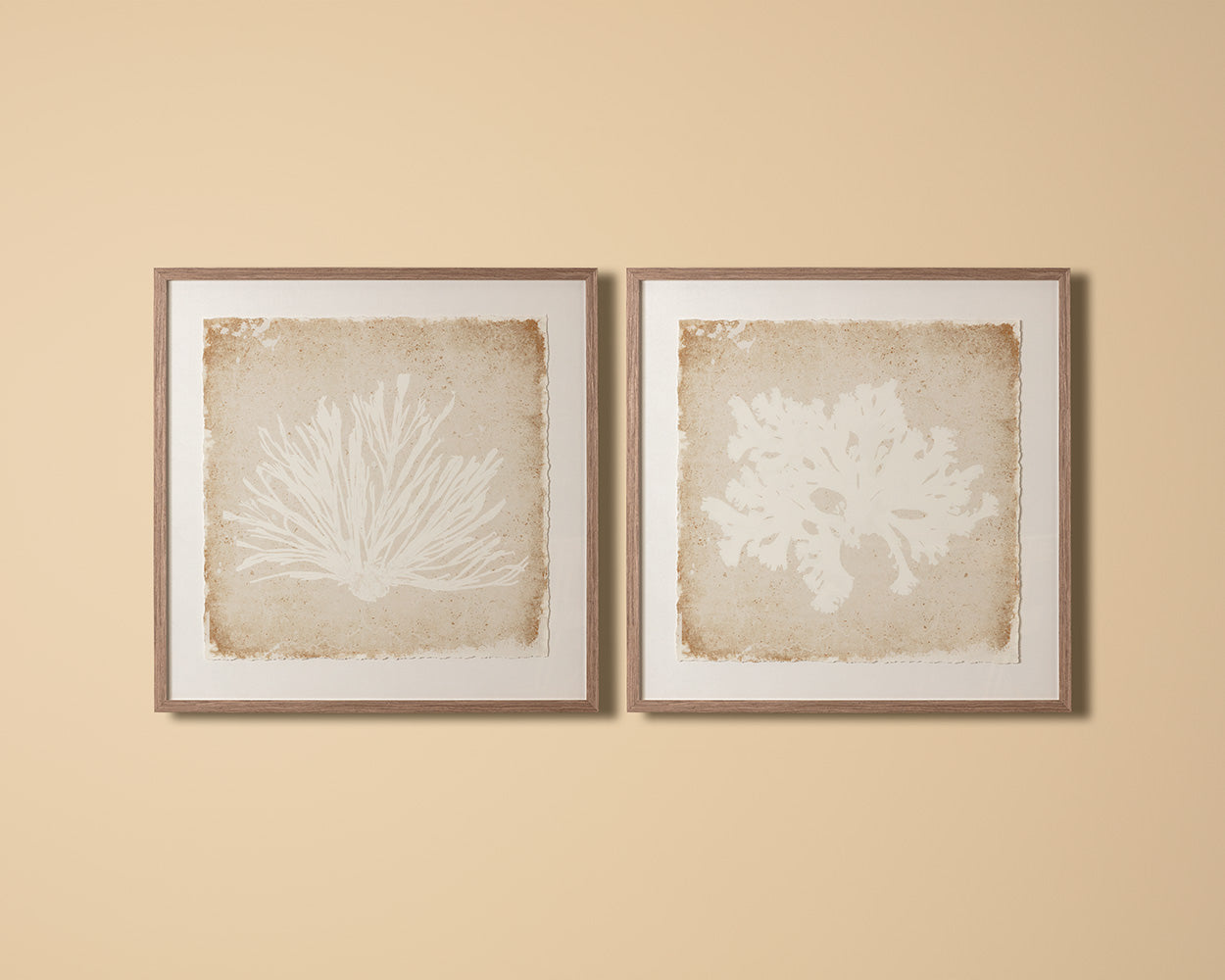 Aquatic Flora II - 40" X 40" - Medium Brown Frame