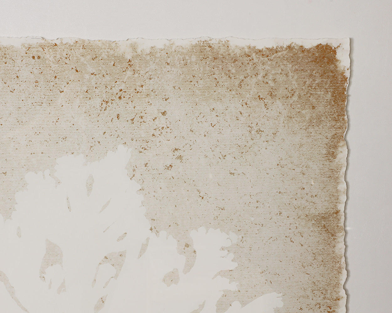 Aquatic Flora II - 40" X 40" - Medium Brown Frame