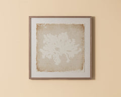 Aquatic Flora II - 40" X 40" - Medium Brown Frame
