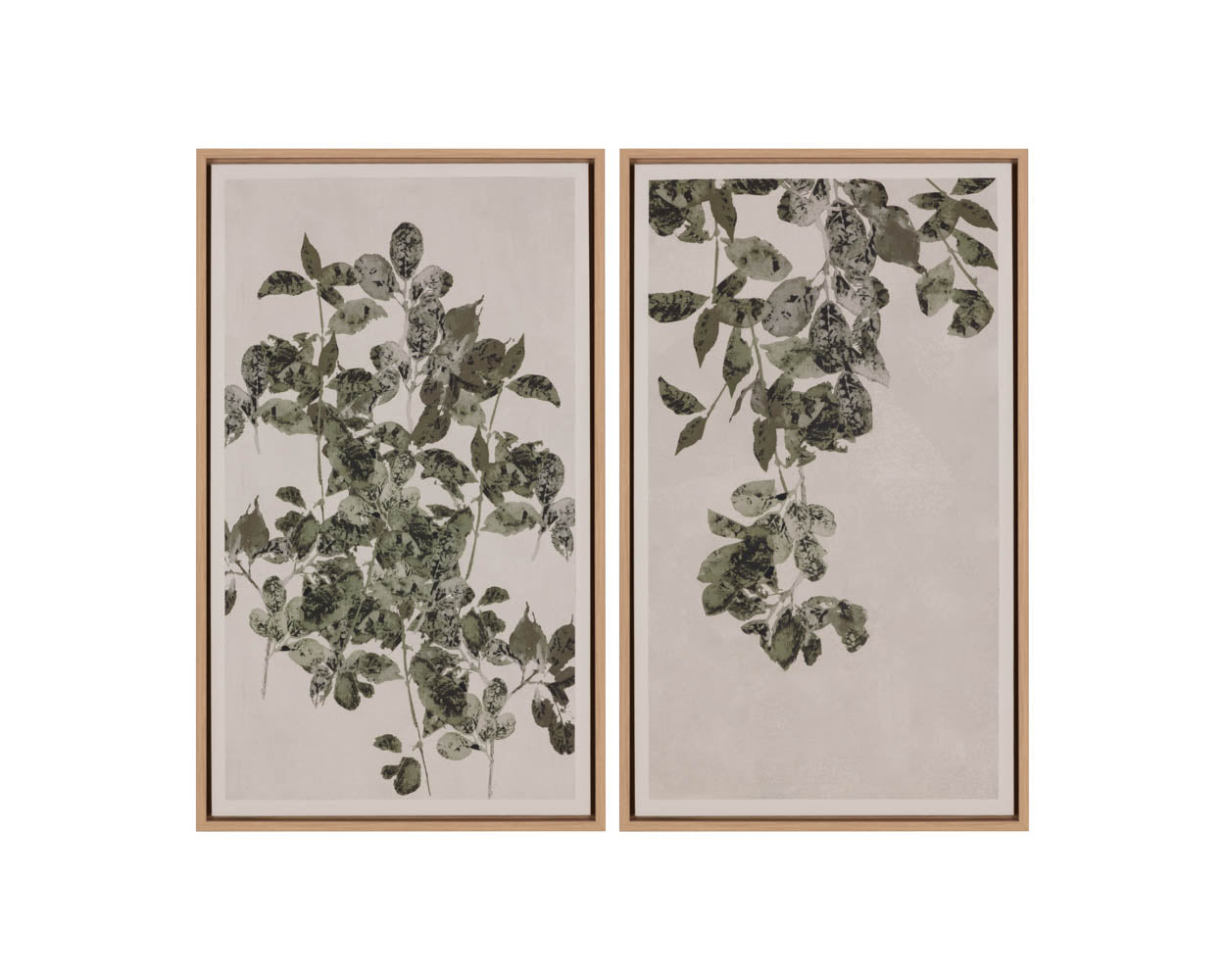 Botanical Study I - 18.5" X 31" - Natural Floater Frame