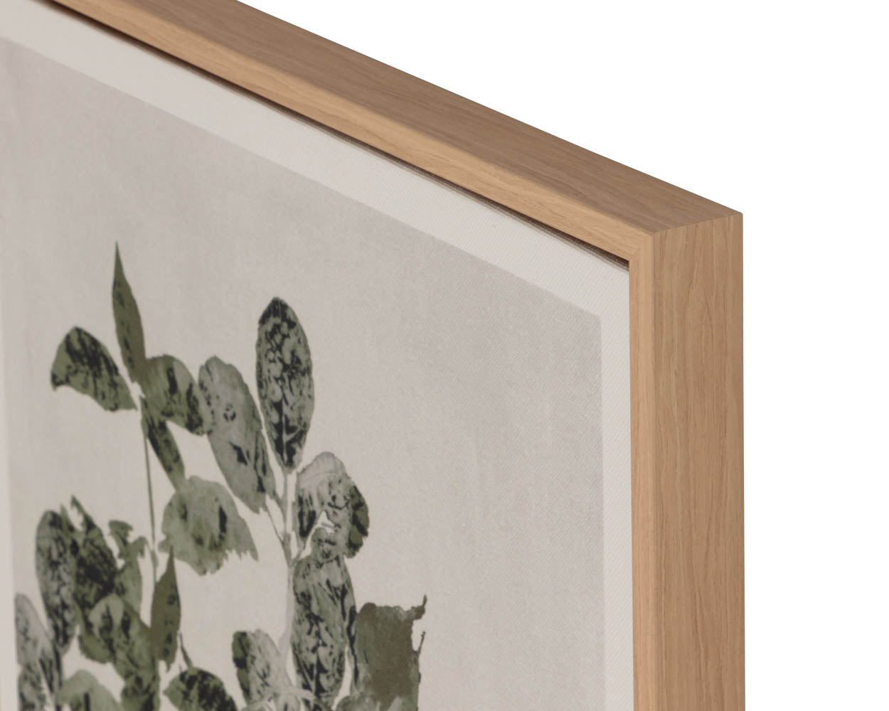 Botanical Study I - 18.5" X 31" - Natural Floater Frame