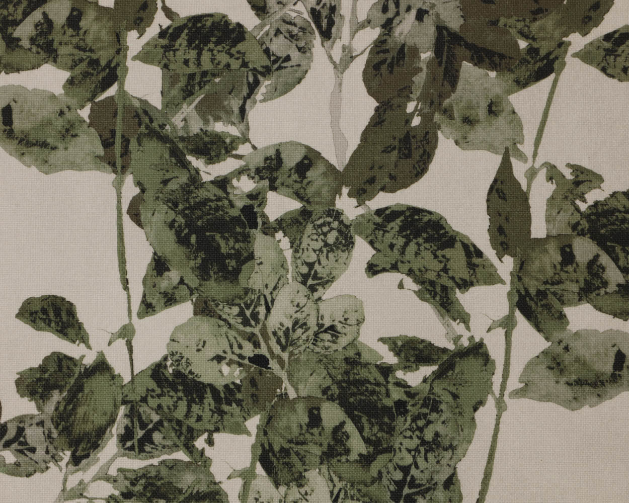 Botanical Study I - 18.5" X 31" - Natural Floater Frame