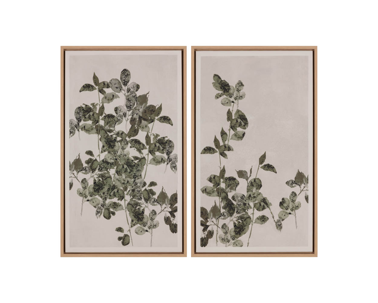Botanical Study I - 18.5" X 31" - Natural Floater Frame
