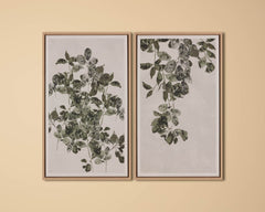 Botanical Study II - 18.5" X 31" - Natural Floater Frame