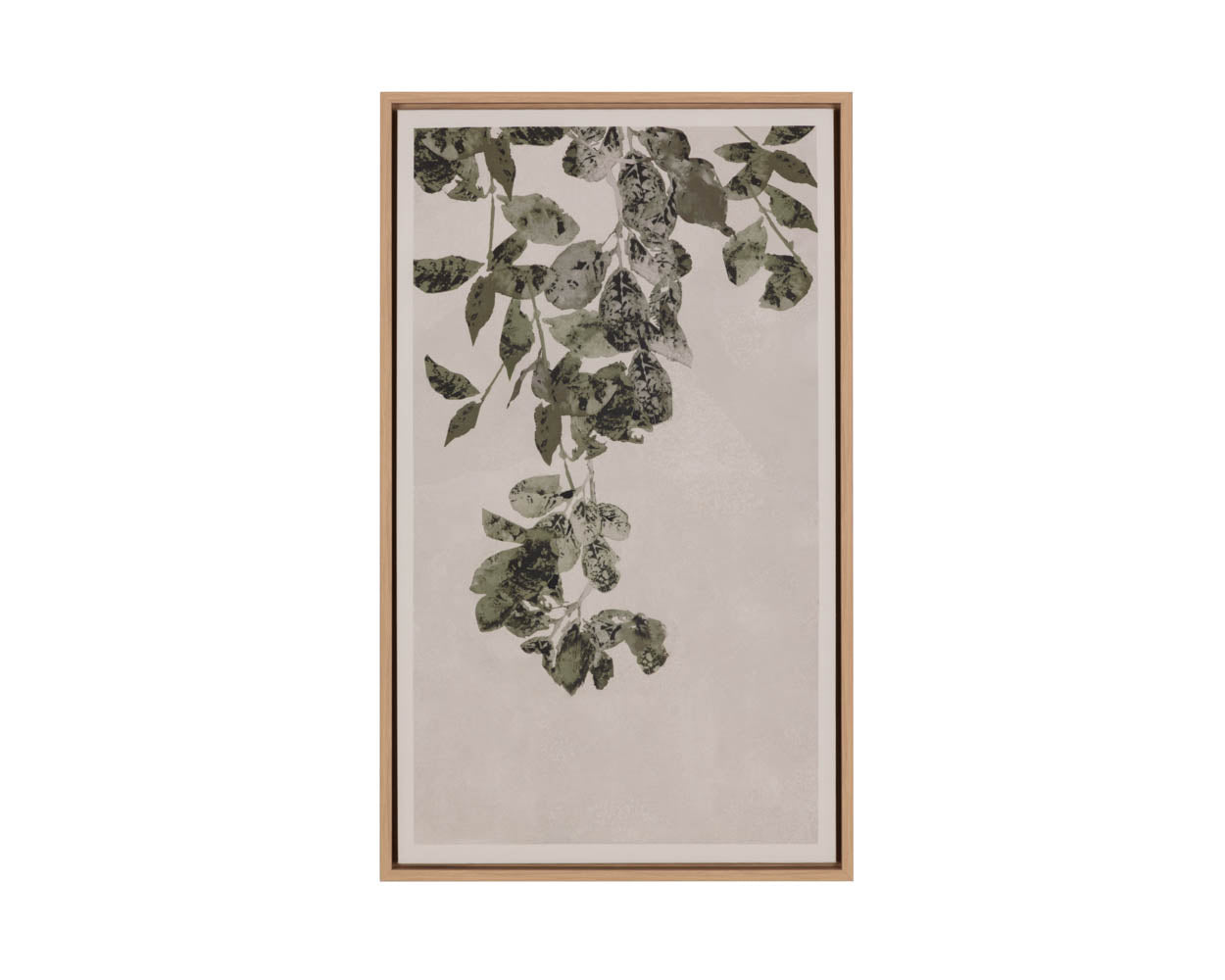 Botanical Study II - 18.5" X 31" - Natural Floater Frame