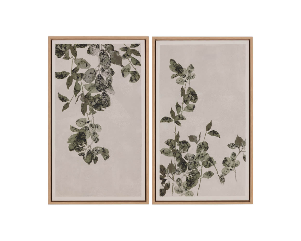 Botanical Study II - 18.5" X 31" - Natural Floater Frame