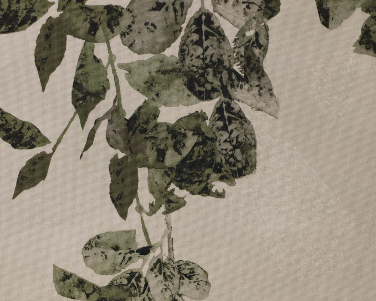 Botanical Study II - 18.5" X 31" - Natural Floater Frame
