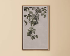 Botanical Study II - 18.5" X 31" - Natural Floater Frame