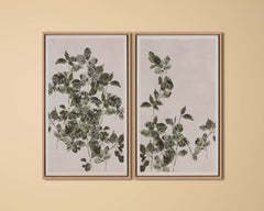 Botanical Study III - 18.5" X 31" - Natural Floater Frame