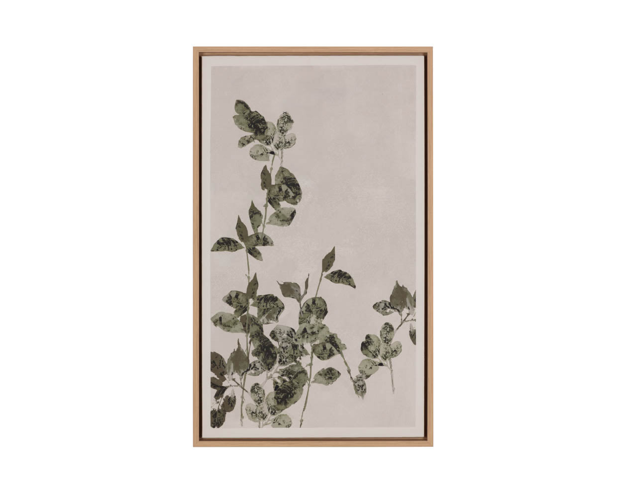 Botanical Study III - 18.5" X 31" - Natural Floater Frame