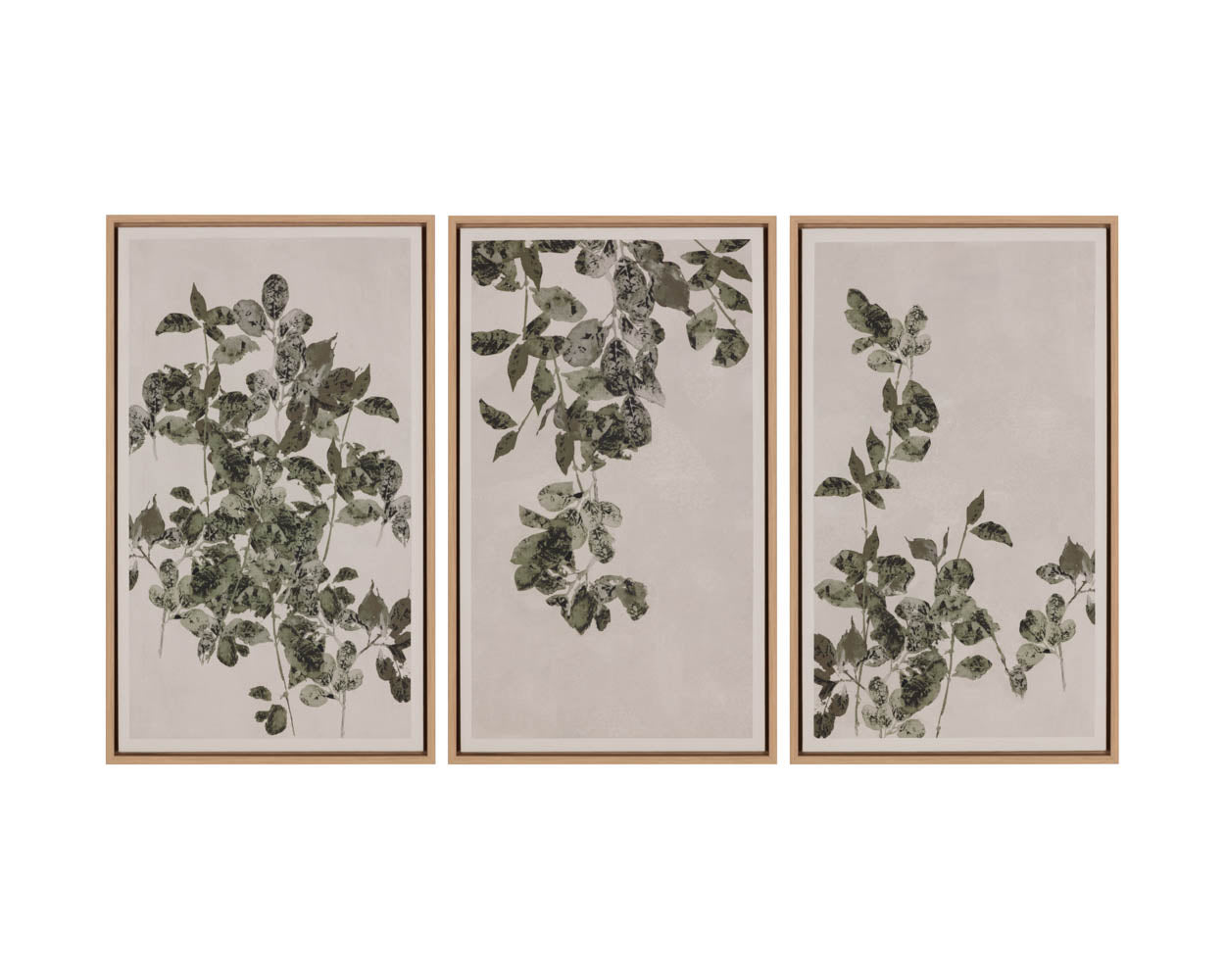 Botanical Study III - 18.5" X 31" - Natural Floater Frame