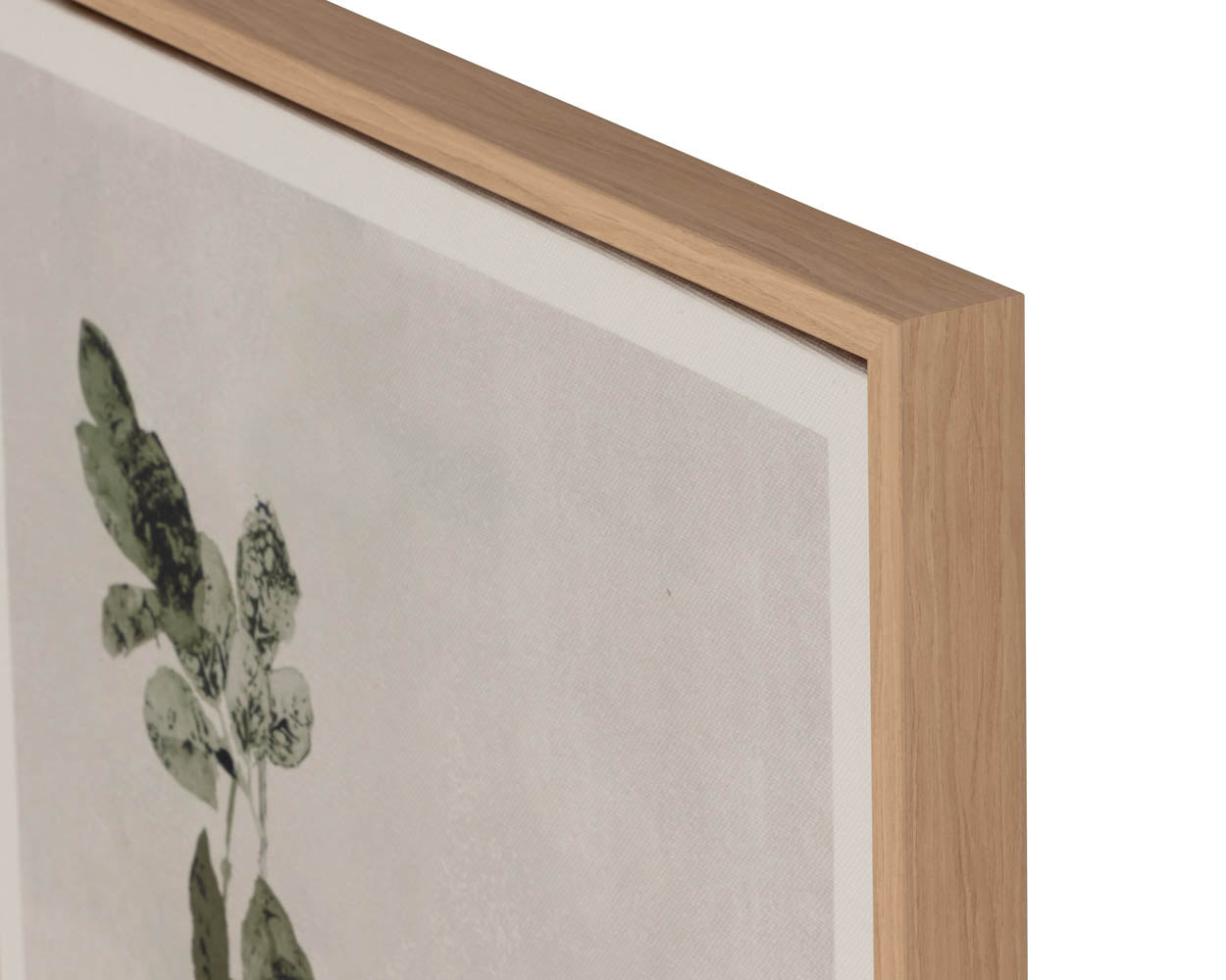 Botanical Study III - 18.5" X 31" - Natural Floater Frame