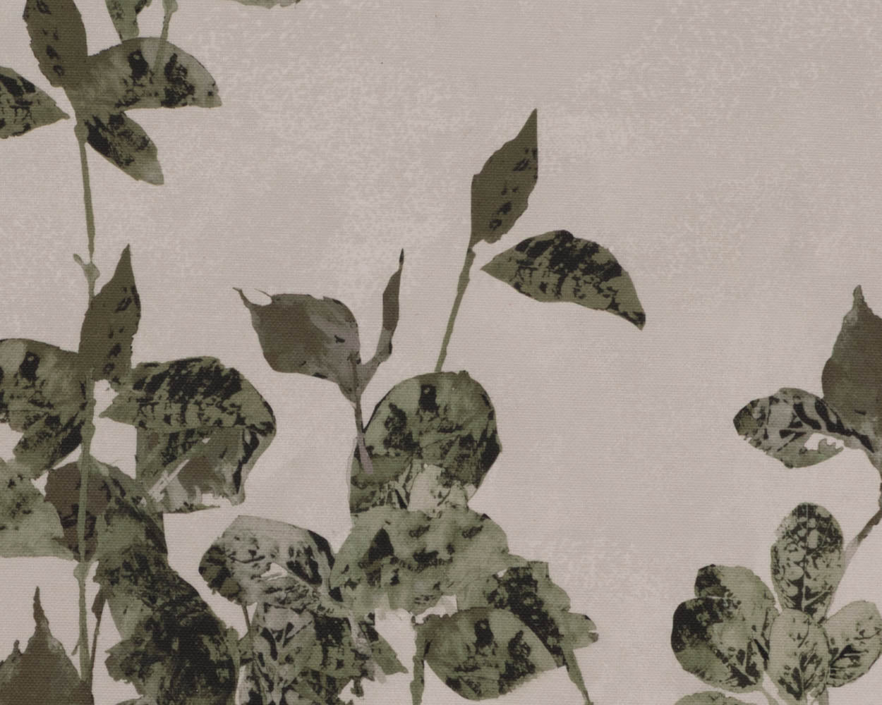 Botanical Study III - 18.5" X 31" - Natural Floater Frame