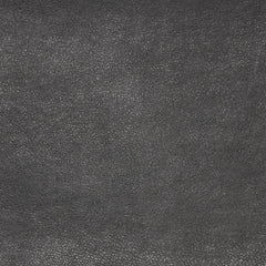 Cantina Magnetite Swatch