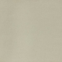 Antonio Porcelain Swatch