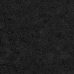 Antique Black Swatch