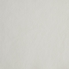 Cantina White Swatch