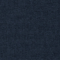 Belfast Navy Swatch