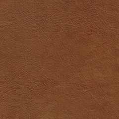 Behike Saddle Leather Swatch