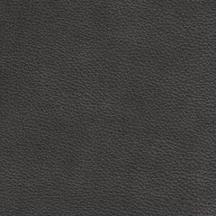 Brentwood Charcoal Leather Swatch