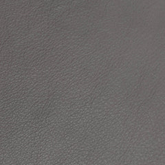 Alpine Grey Leather Swatch