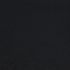 Black #4 Leather Swatch
