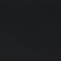 Black #2 Swatch
