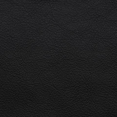 Alpine Black Leather Swatch