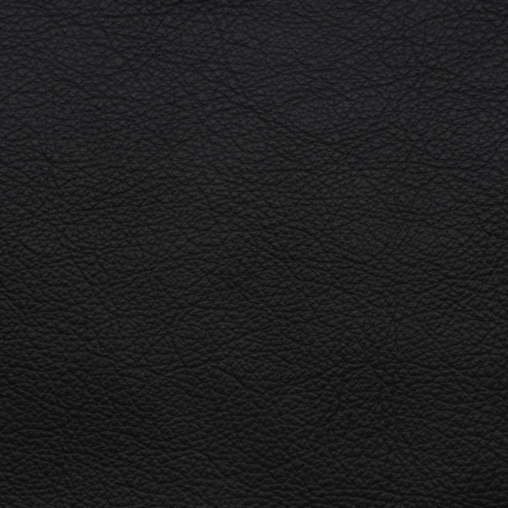 Alpine Black Leather Swatch